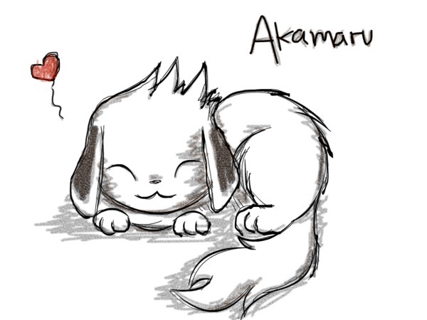 download gambar akamaru naruto