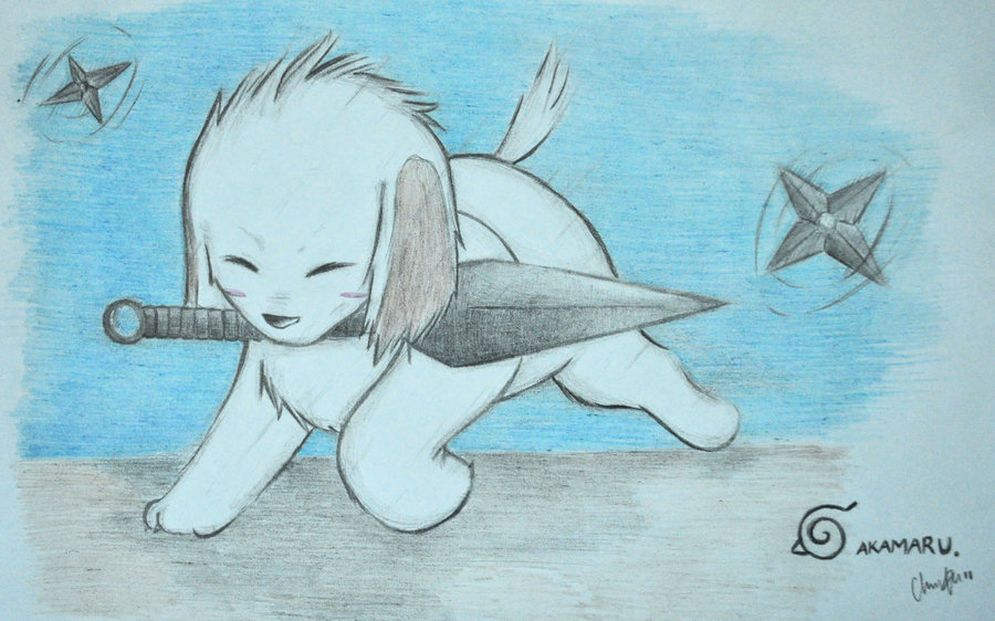 download gambar akamaru naruto