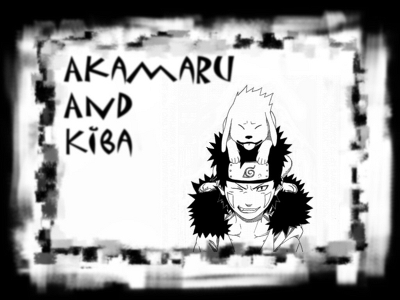 download gambar Kiba naruto